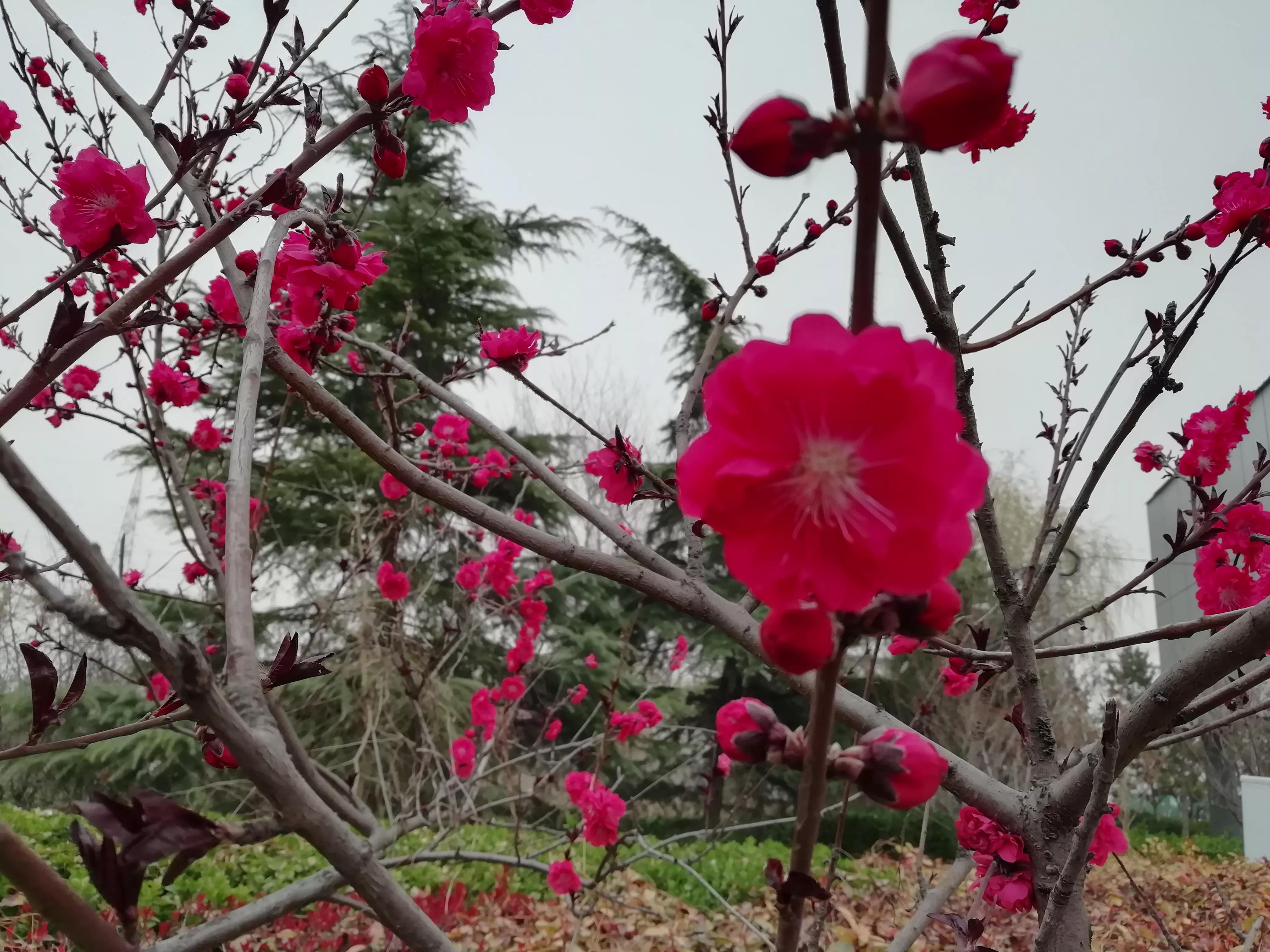 我的跑步经验（用者自取）