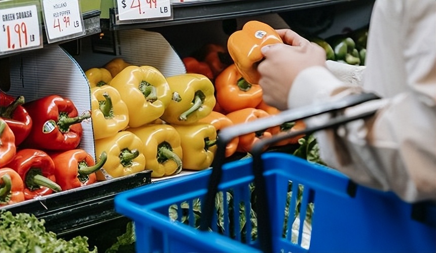 日本家庭买什么冰箱好呢,日本冰箱推荐