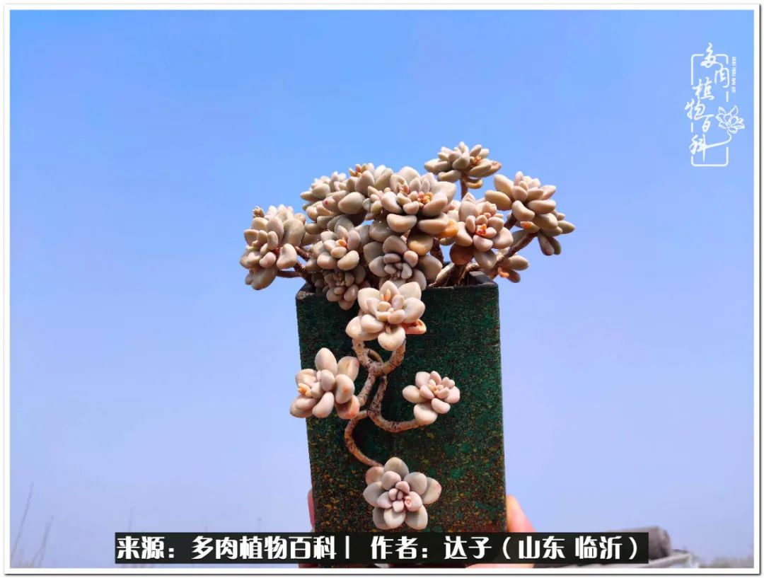 活在当下珍惜眼前平凡的生活,活在当下感慨万千