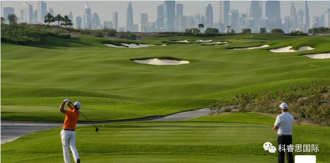 在迪拜打高尔夫价格,迪拜打高尔夫沙漠球场