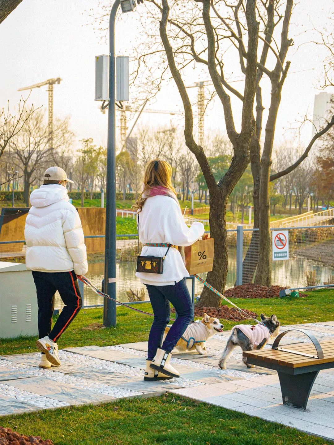 魔都宠物天地,魔都周边宠物友好景区