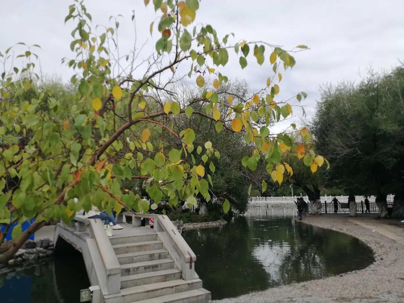 第一次去拉萨旅游攻略,第一次去拉萨话题