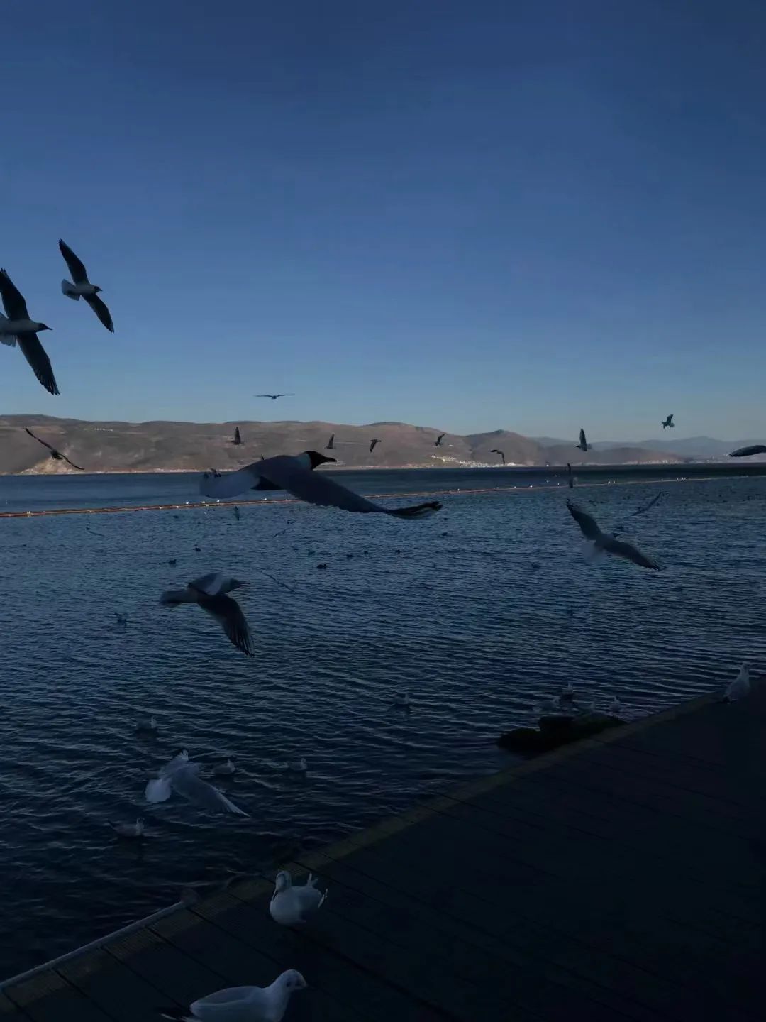 什么职业适合当数字游民,哪些职业适合当数字游民