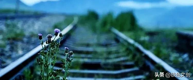 铁道兵奉献三线建设,铁兵记忆滇黔铁路上的岩脚寨隧道