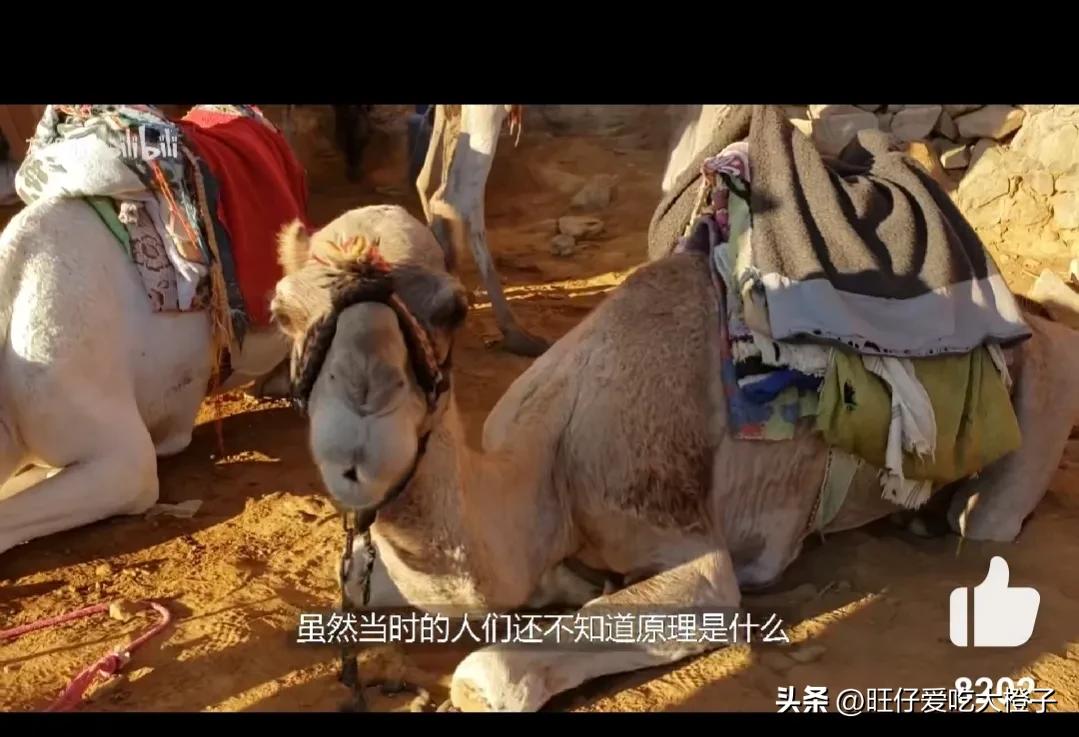 再也不见，避孕环！女生一定要好好爱自己