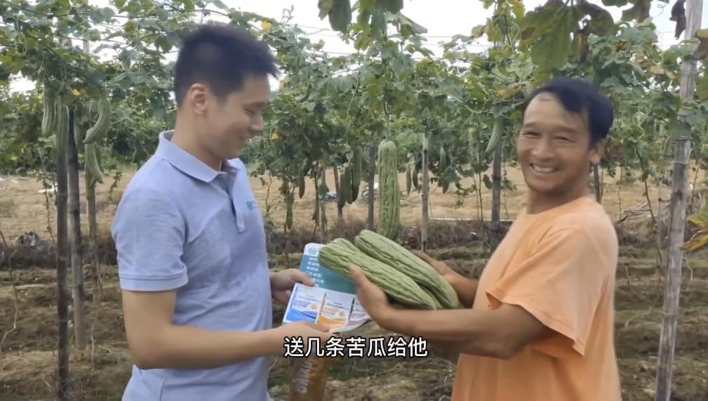 第六届中国农民丰收节,中国农民丰收节