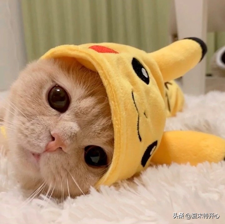 让你笑岔气的笑话,搞笑的让你笑岔气的小故事