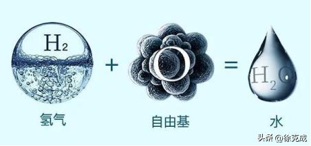 肺癌电场疗法,肺癌吸入疗法