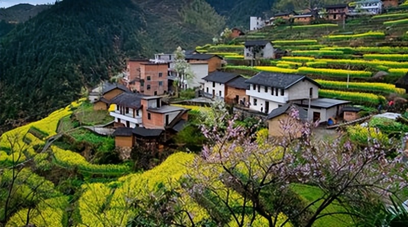发展乡村旅游助力乡村振兴的建议,旅游助推乡村振兴和共同富裕