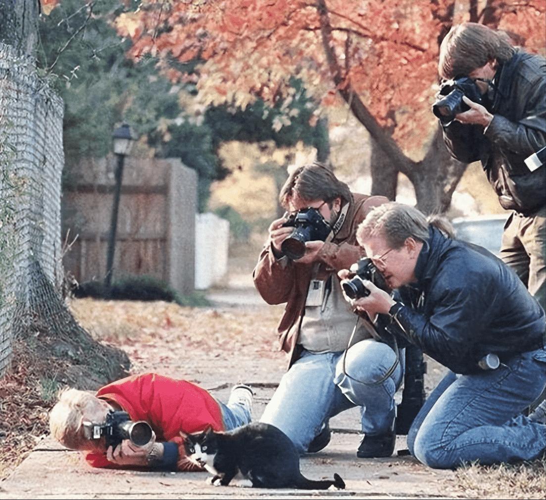 清朝最残忍的刑法,清朝酷刑五马分尸