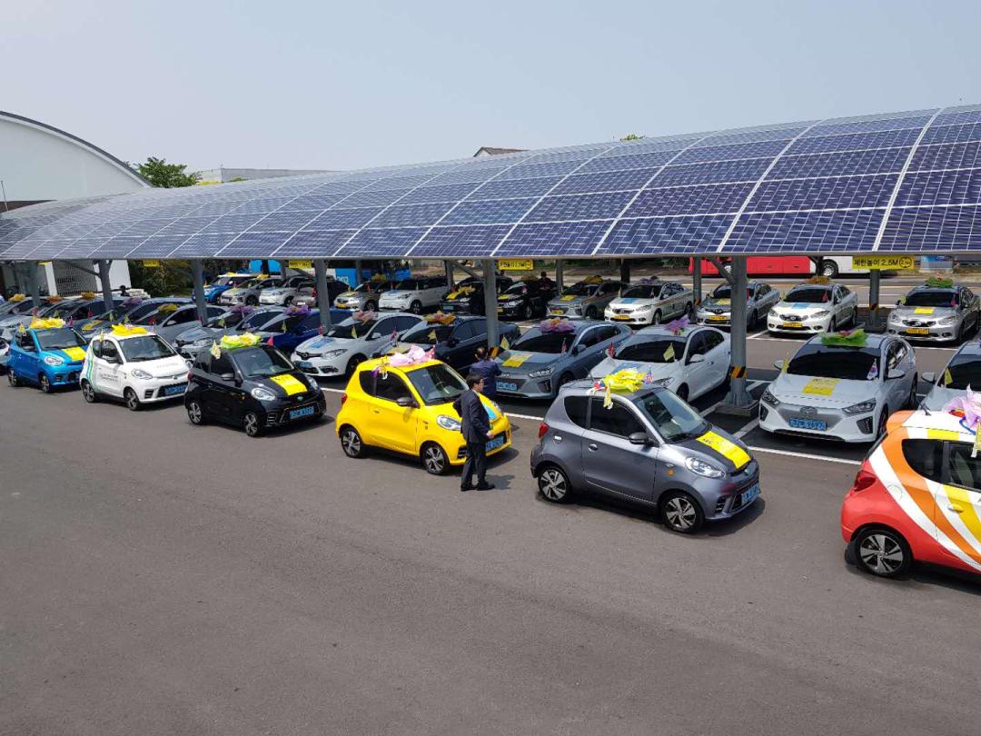 知豆强势回归,知豆复活