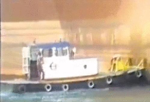 第一个用无人机拍到的鲸鱼,鲸鱼萤火虫