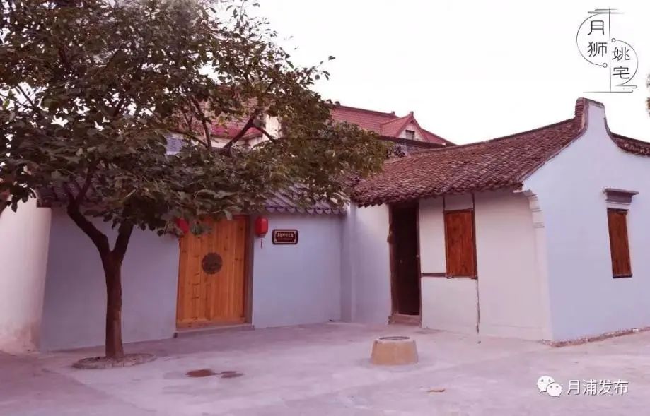 上海郊游一览表,上海郊游