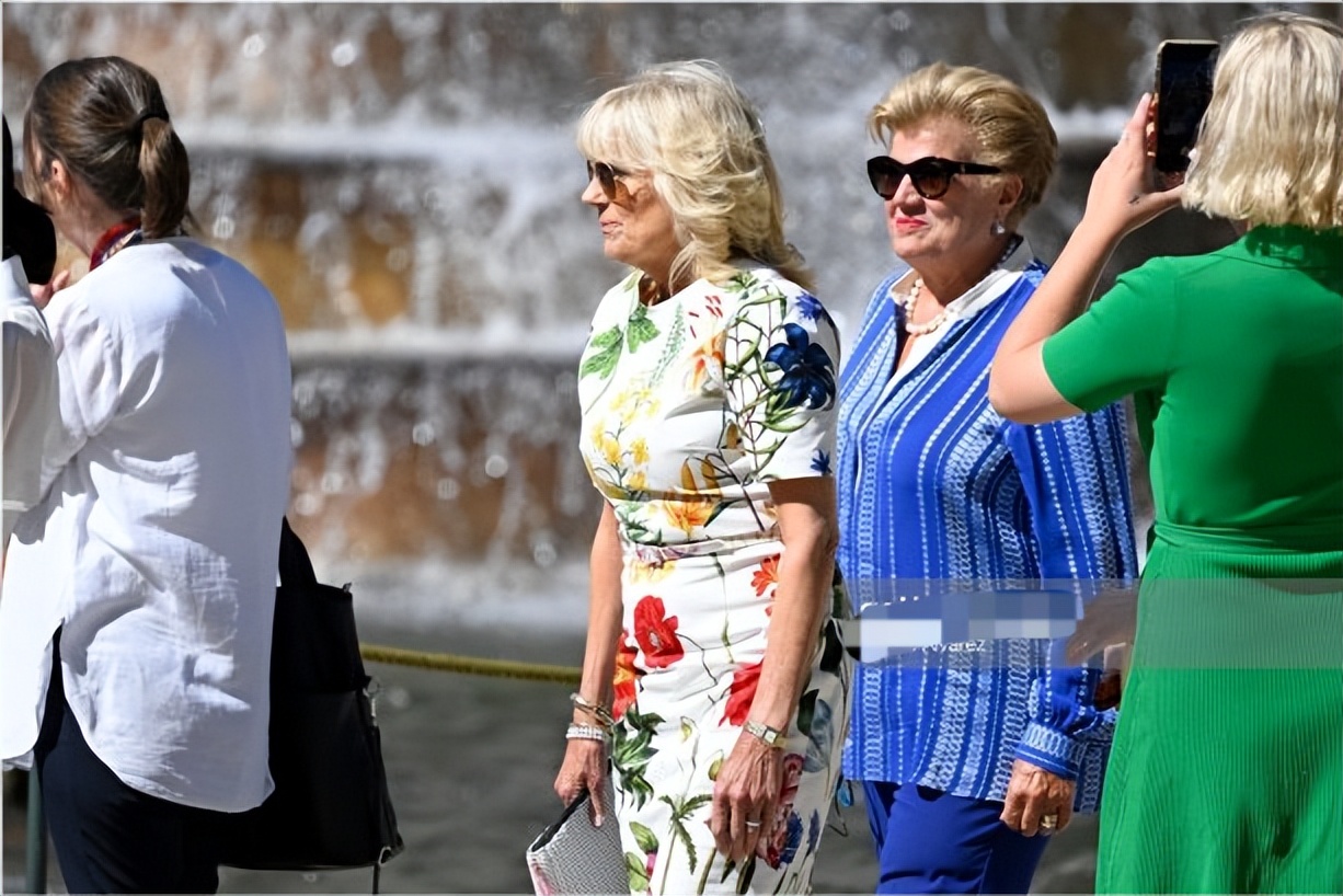 北约领导人夫人合影,北约峰会夫人