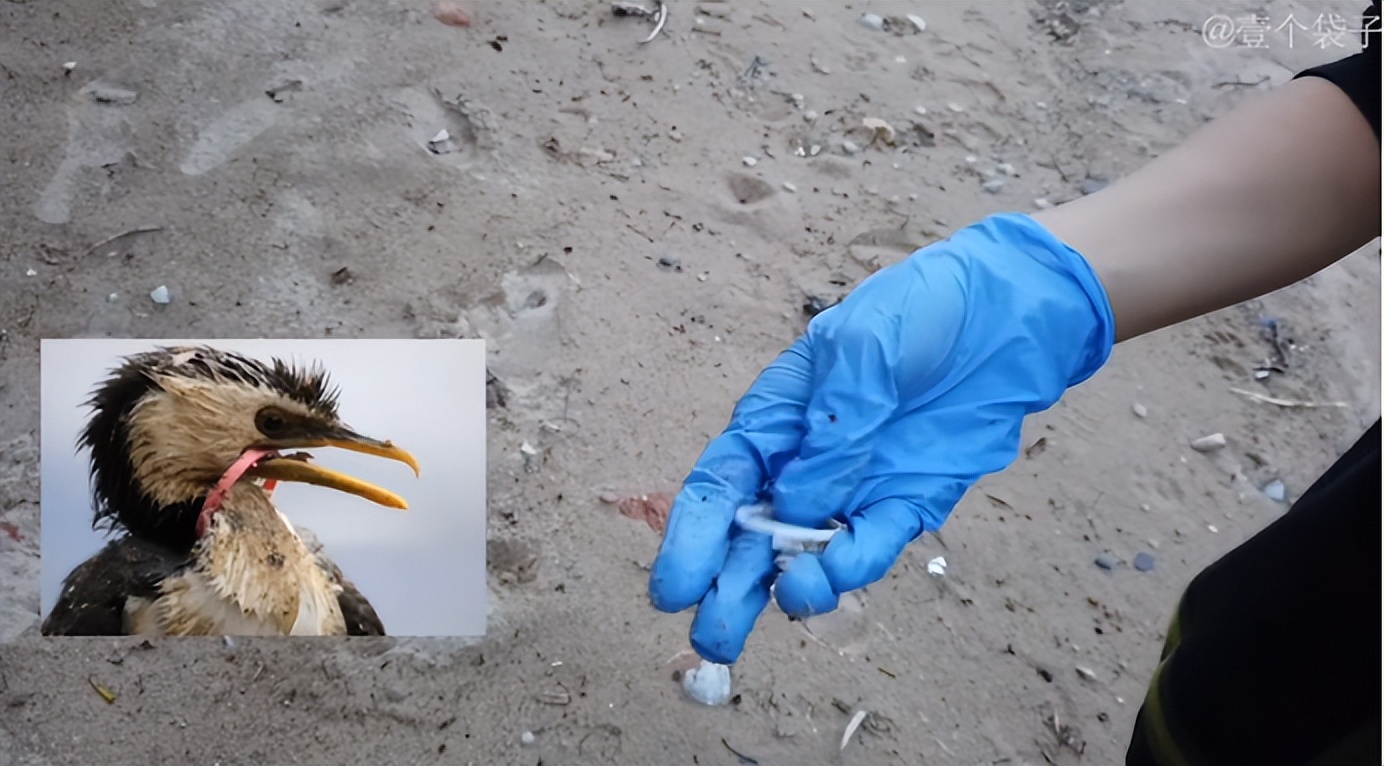 95后女孩过“穷酸”生活，不用卫生巾、一条裤子穿10年，好快乐