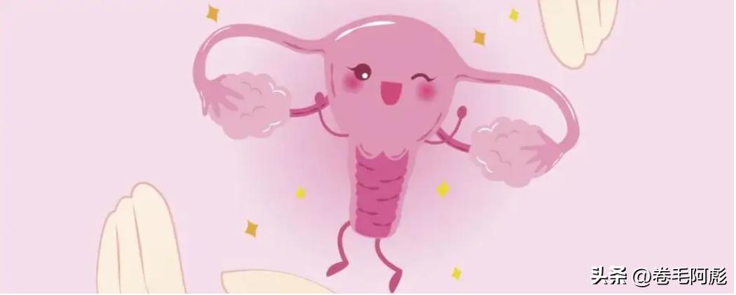 两亿精子和卵细胞,最优秀的精子才会和卵子结合吗