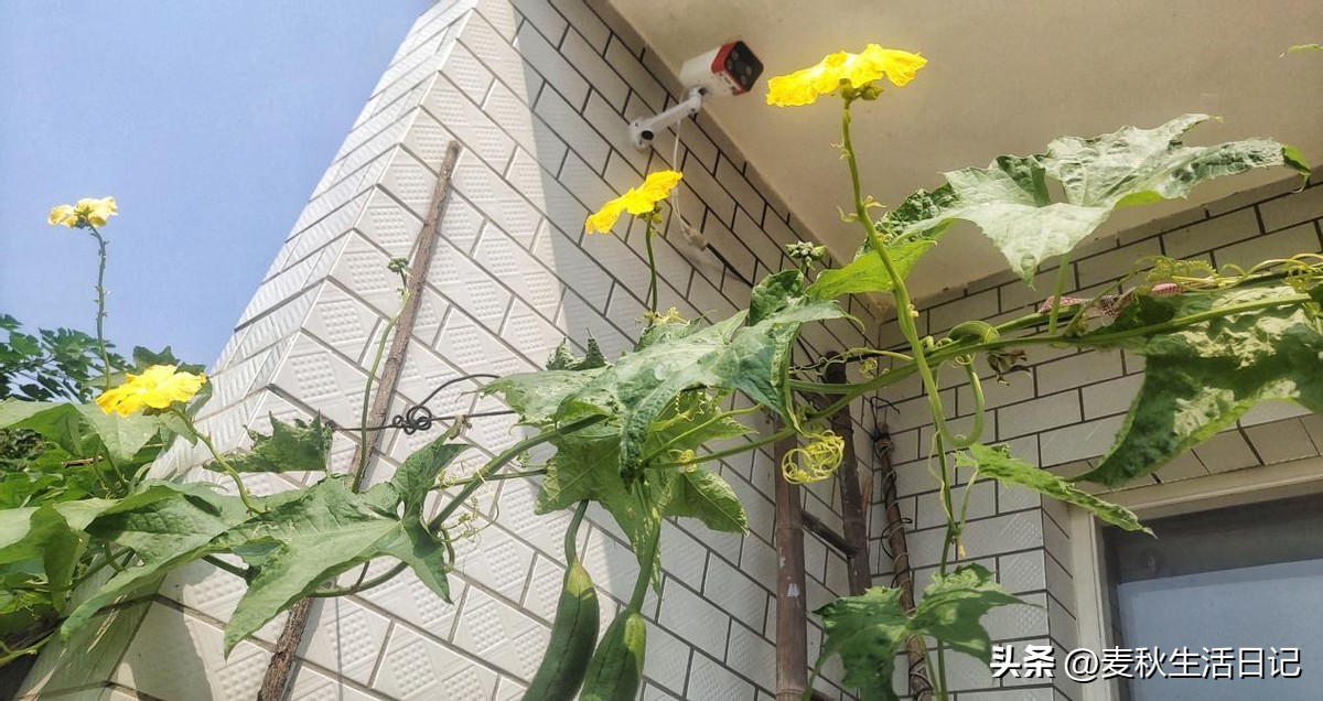 计算机外部设备可分为哪三类,电脑外部设备不能用是驱动的问题