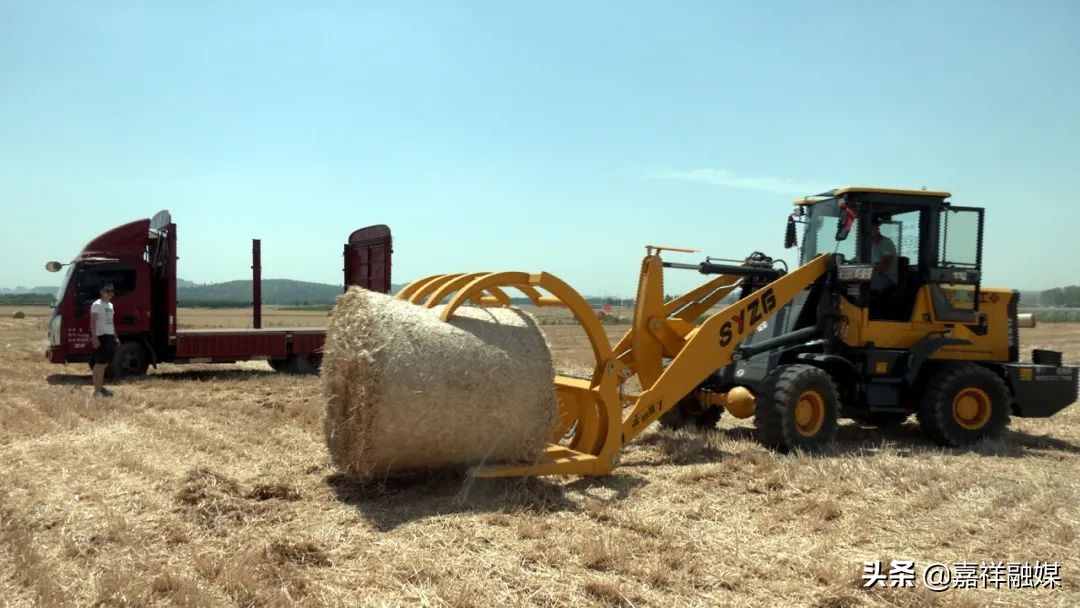 收麦机收小麦方法,秸秆打捆机收小麦