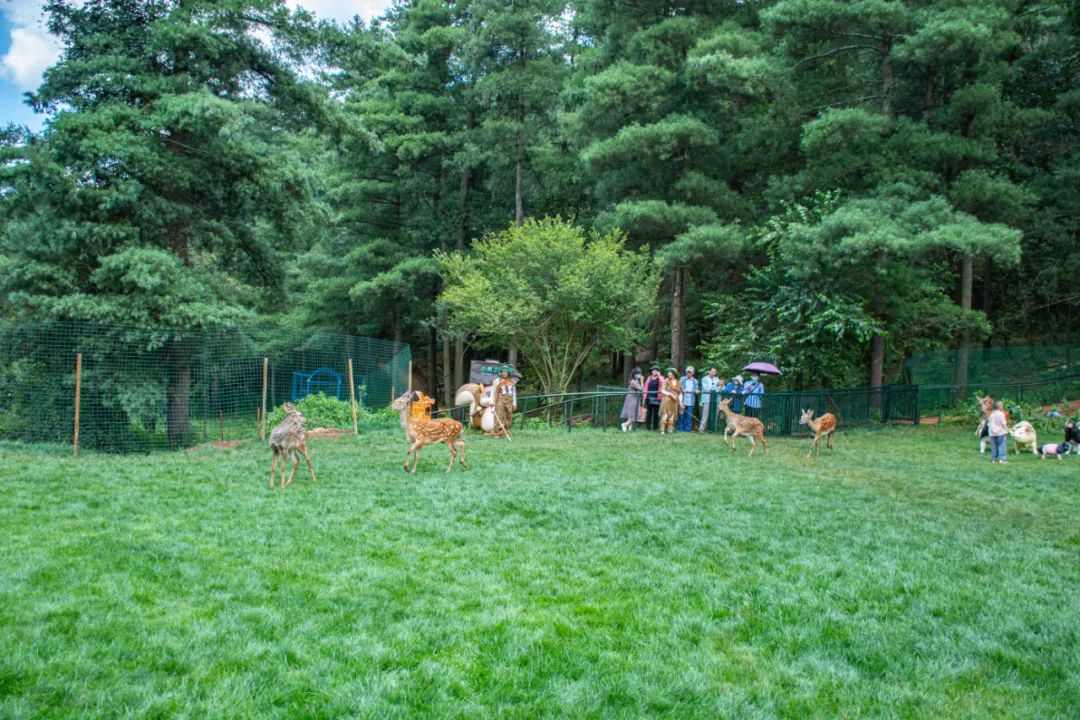 昆明旅游攻略一日游景点推荐理由,昆明玩耍推荐景点一日游攻略图