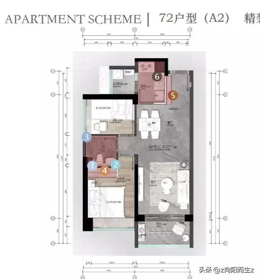 龙岗星龙园,大运星龙园