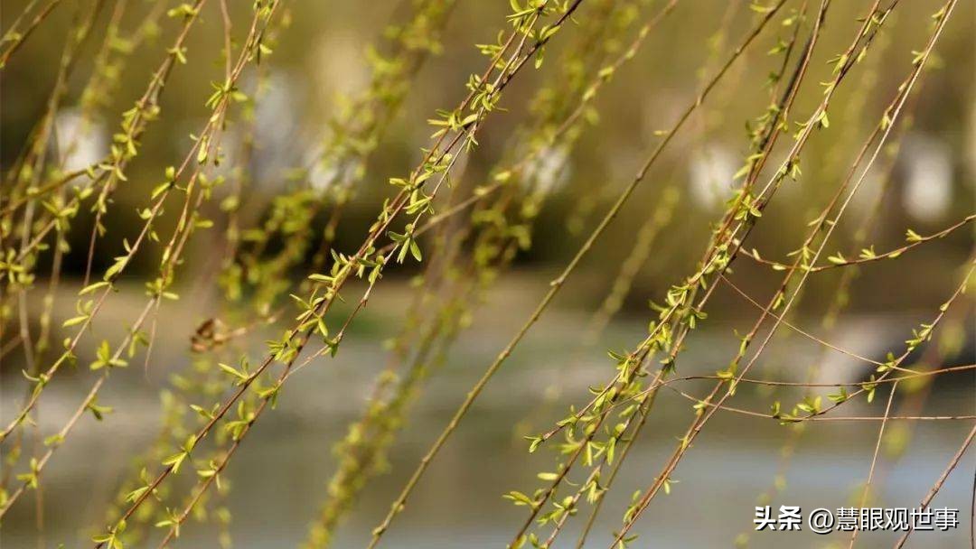 自然现象的古诗词,学生必背古诗词41到60句