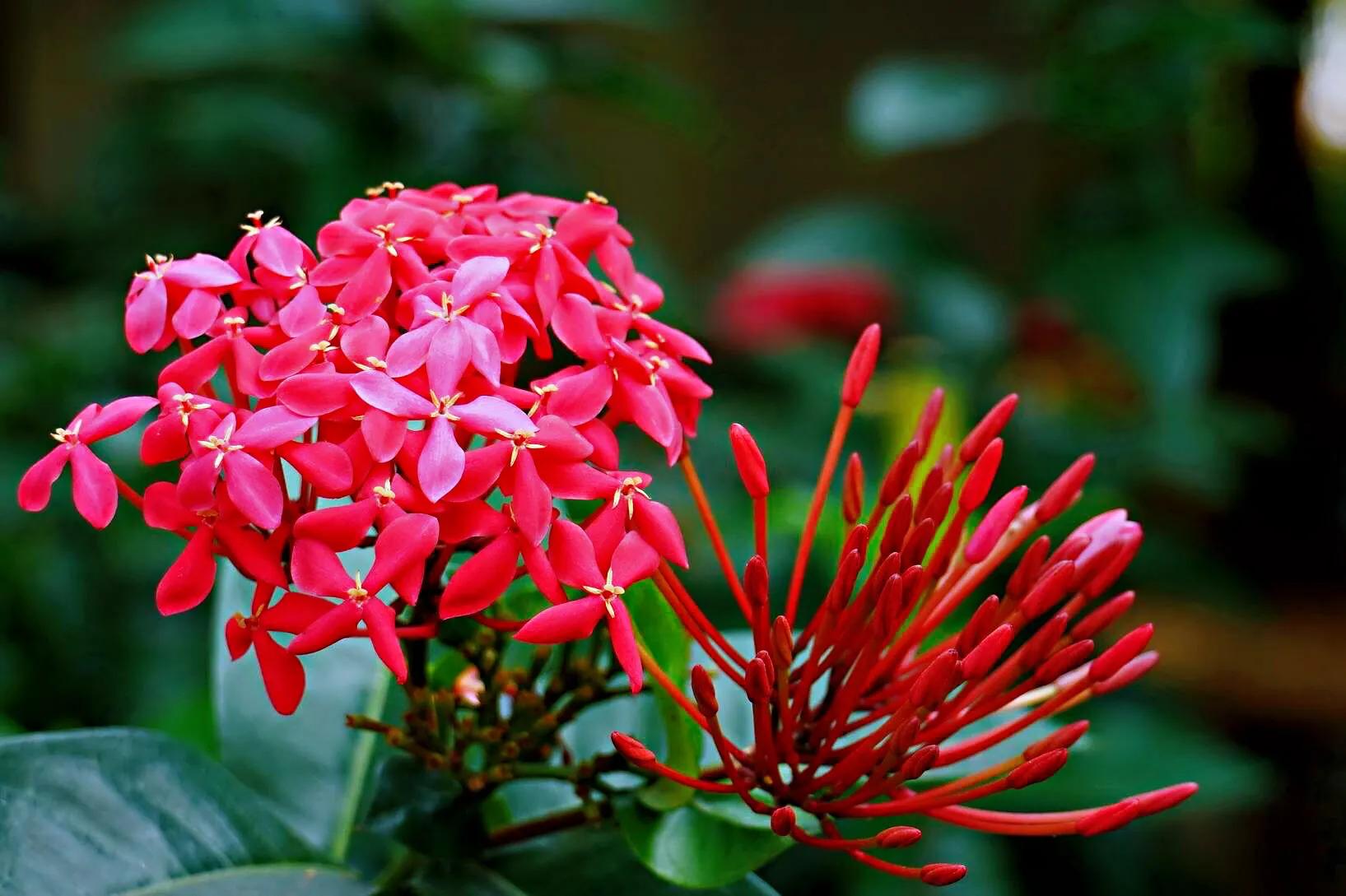 美丽的龙江河,美丽的草原我的家