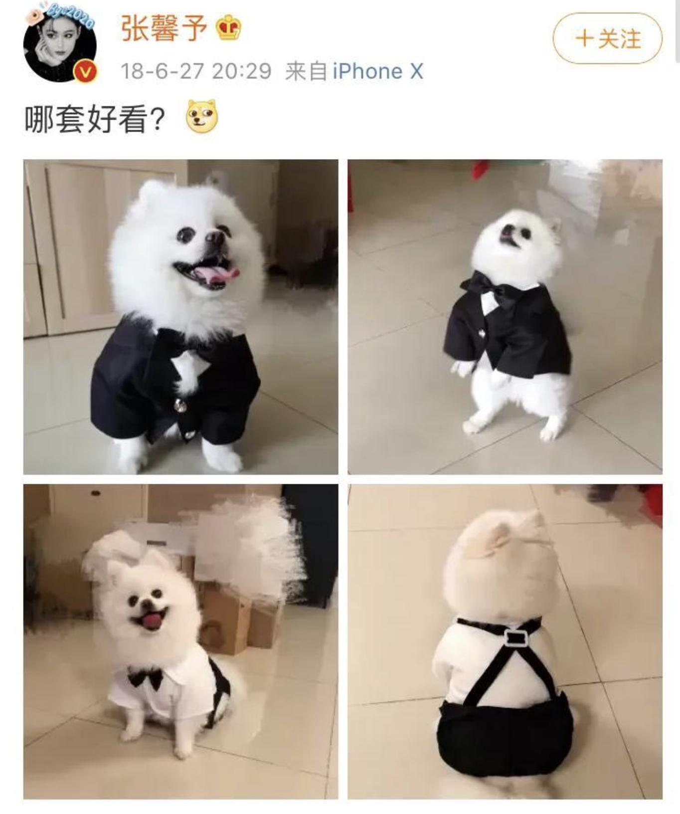 张馨予:被渣两次,深陷“野模”风波,却摇身一变成“最美军嫂”