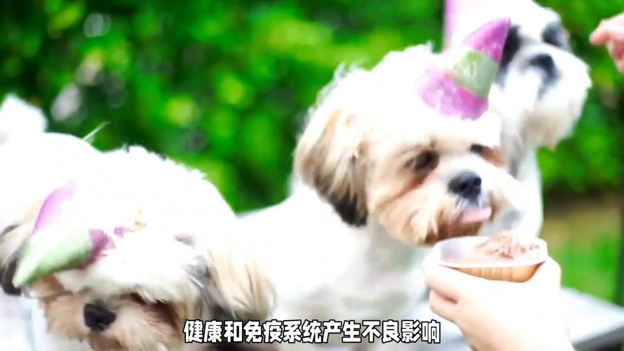 洋葱为什么狗不能吃,狗狗洋葱可以吃吗