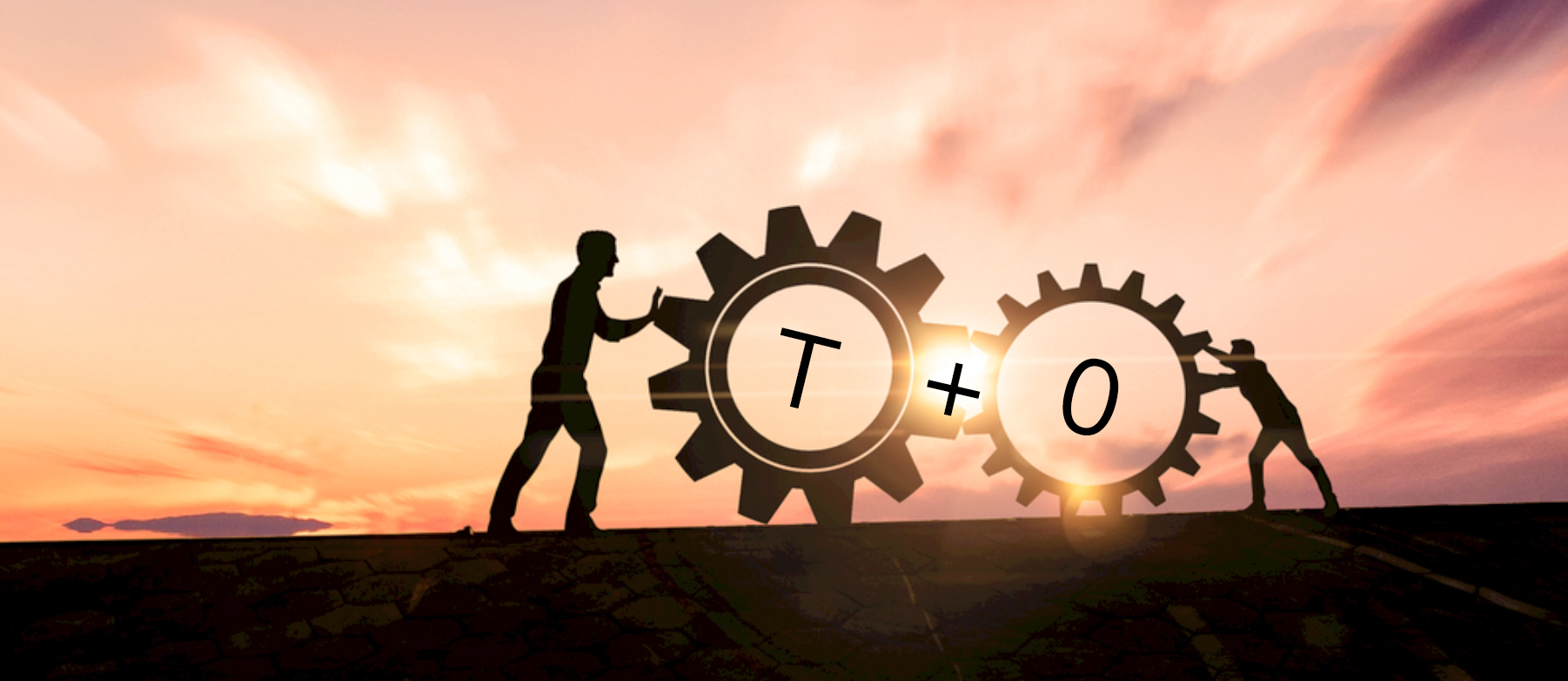 适合日内做t的etf,日内t0交易的etf品种