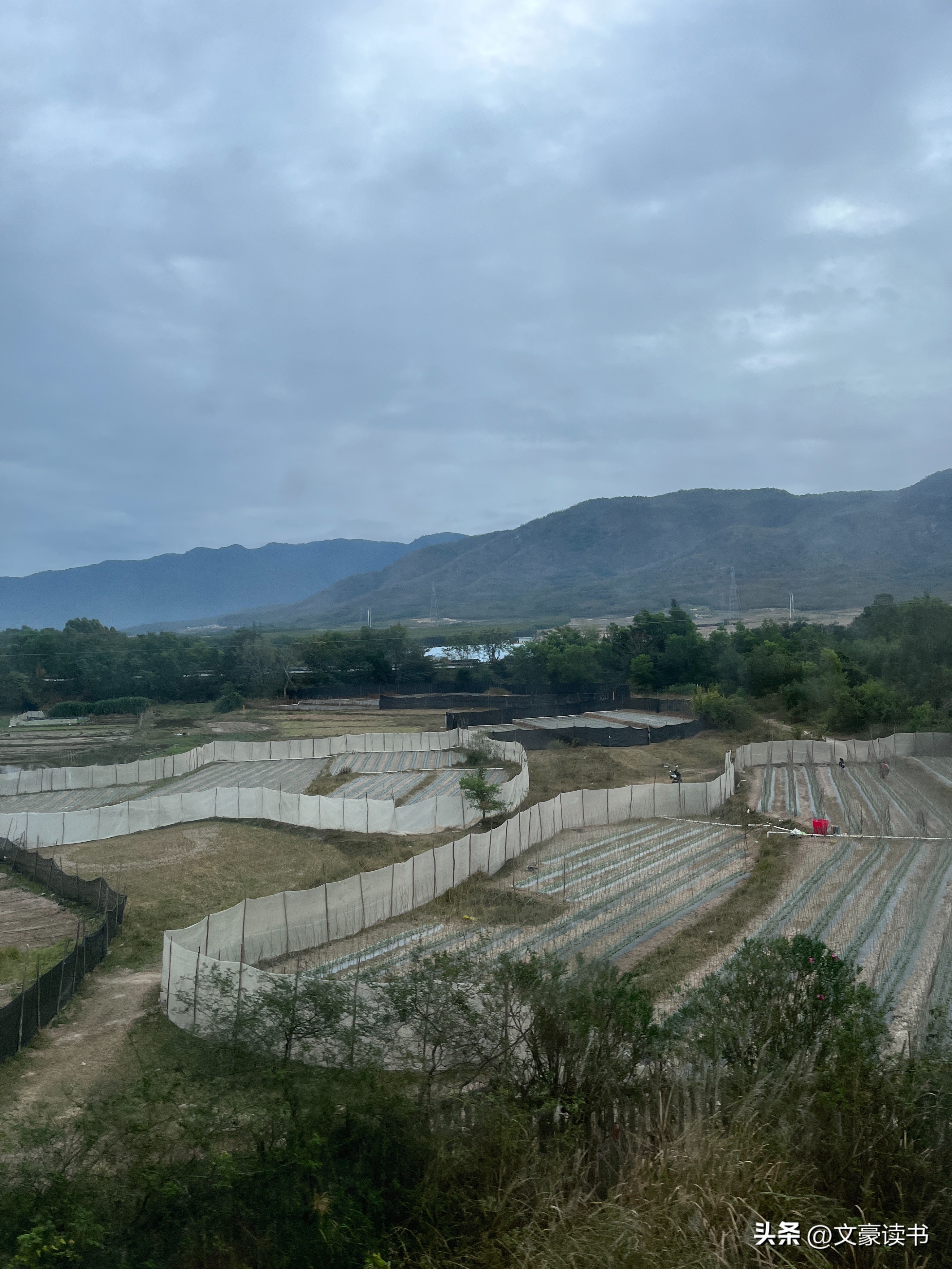 去三亚火车票和飞机票哪个便宜,过年买去三亚的火车票好难啊