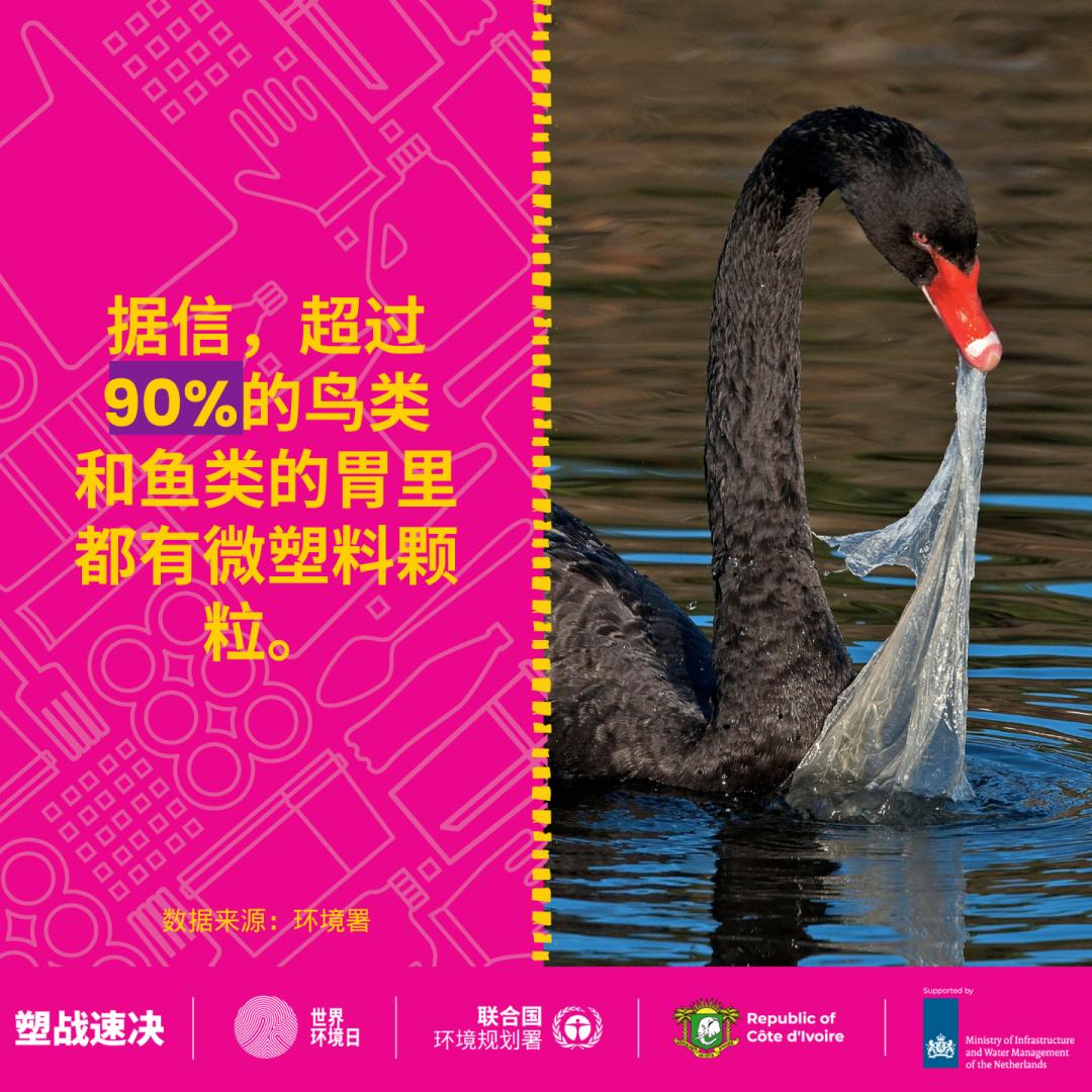 是时候为4500000000岁的TA做点什么了!