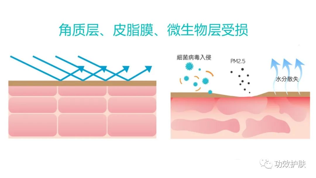 多重焕颜多效精华水,肌肤复活紧肤精华水