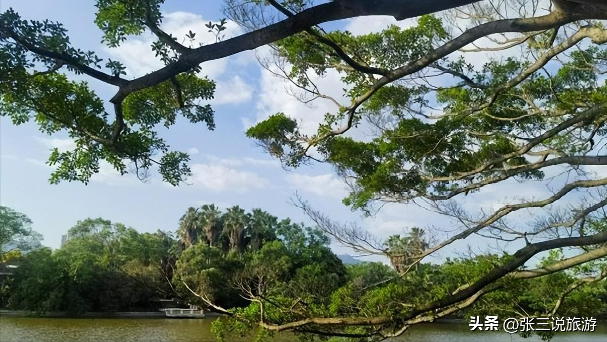 杭州真是很美的一座城市,杭州一个令人流连忘返的城市
