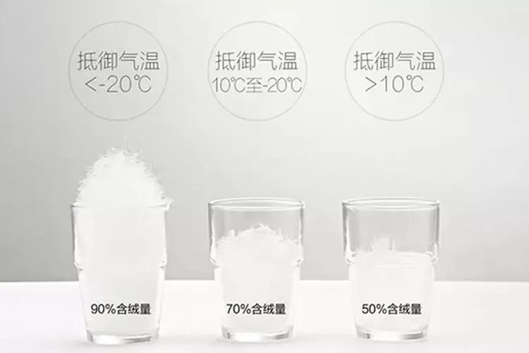 加拿大鹅现在国人还抵制吗,加拿大鹅是被中国人买火的