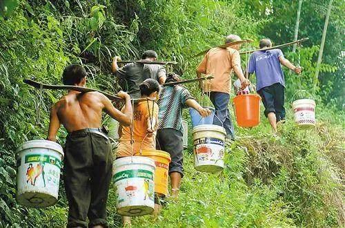 没有电饭煲如何蒸米饭,没有电话怎么联系车主挪车