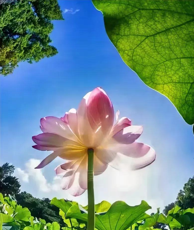 关于爱情和婚姻这篇写的太透彻了,关于爱情和婚姻的全新注解