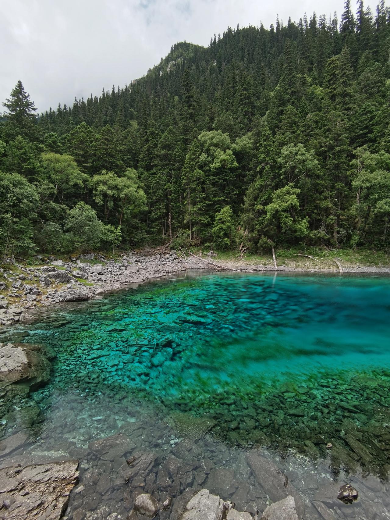 九寨沟美得让人心动完整版,九寨沟有多惊艳