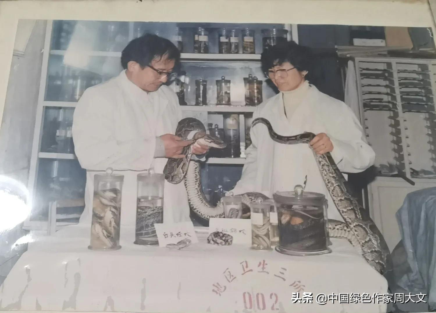 龙岩中山公园有蛇吗,中山市公园有蛇