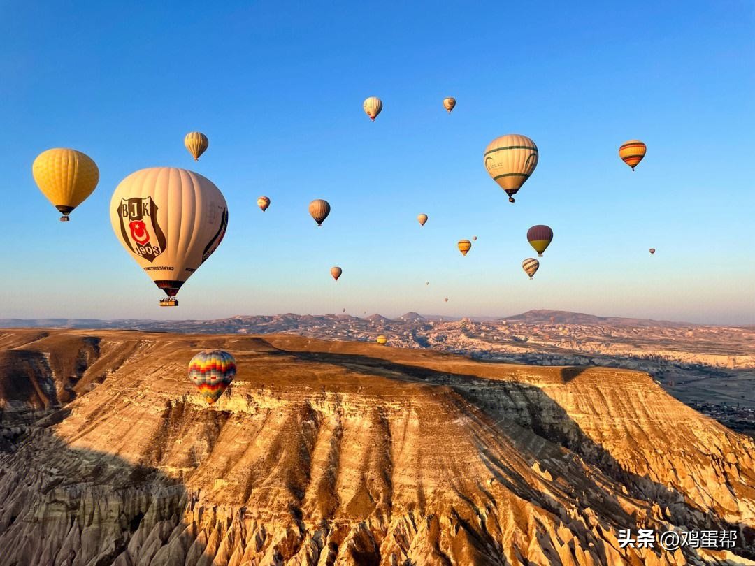 世界五大名鸡产地,世界各国鸡肉产量排名