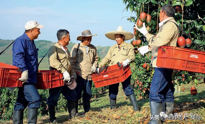 全国最大的果蔬批发市场,全球最大水果批发市场