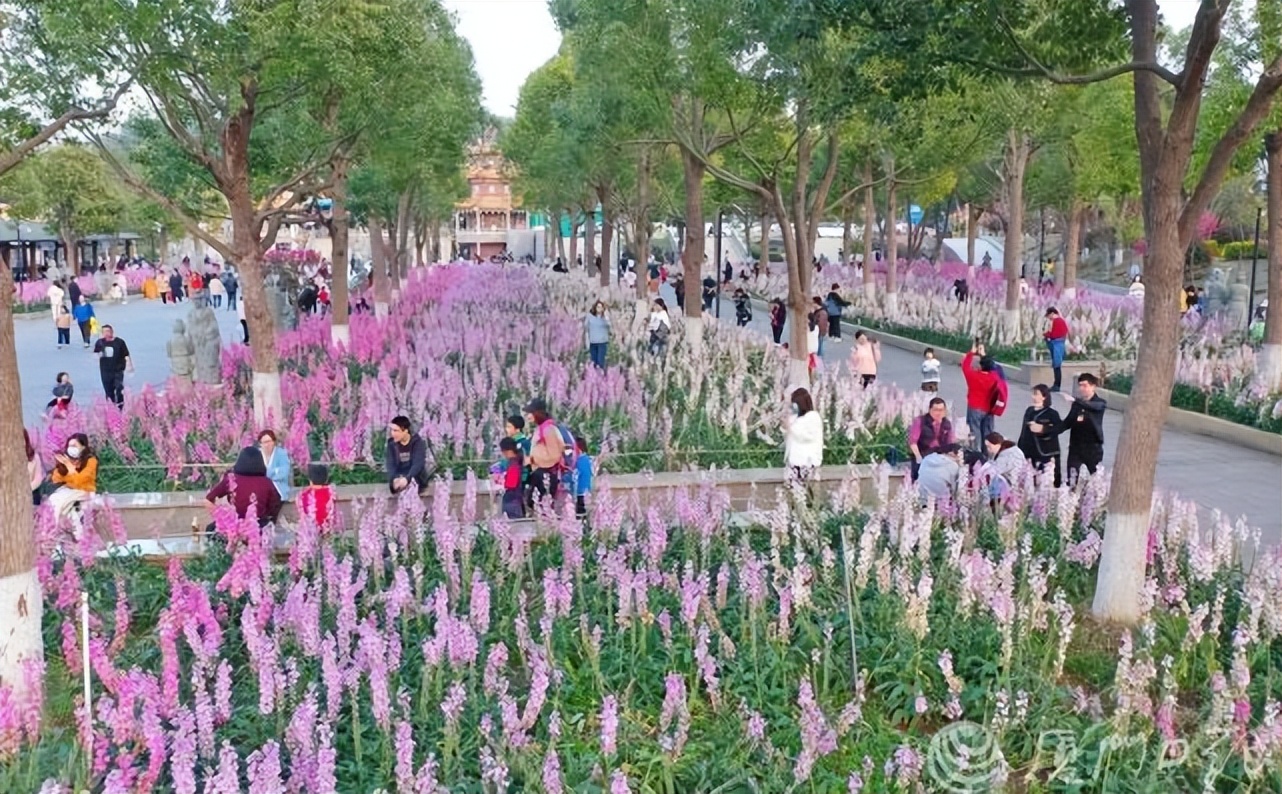 湖里区今日新增情况,湖里区发布重要提醒