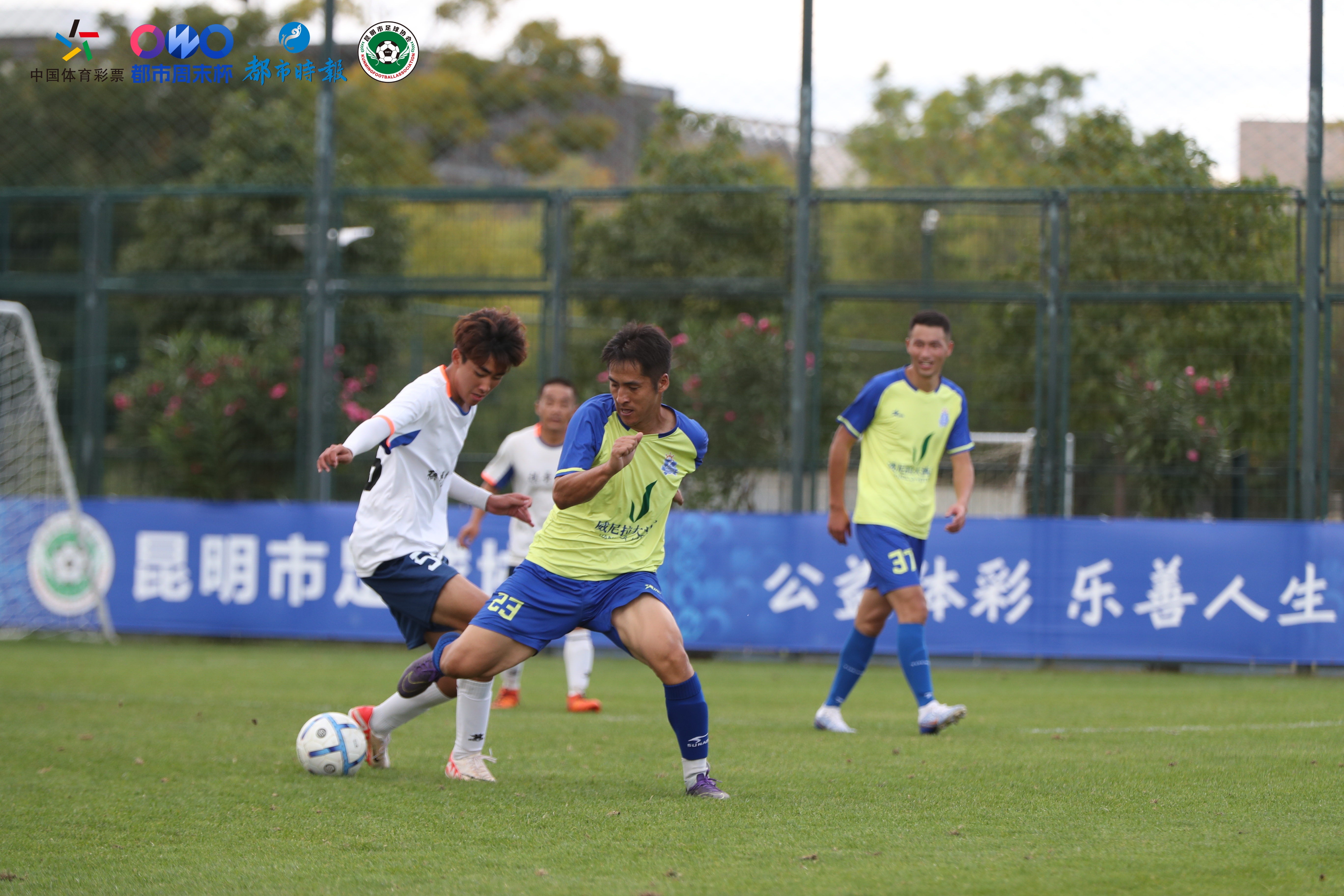 昆明都市周末杯球队,都市周末杯