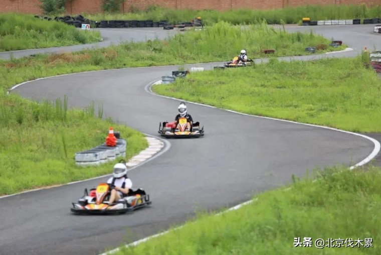 运动萌兽主题公园冬季,天气暖和了野地里撒欢