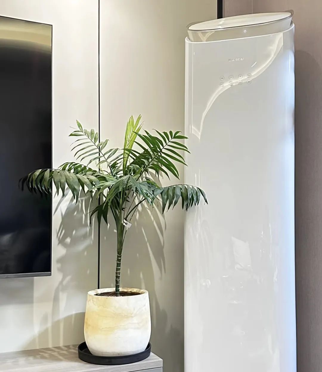 室内养什么绿植吸收甲醛量最高,吸收甲醛最佳且好养的十种植物