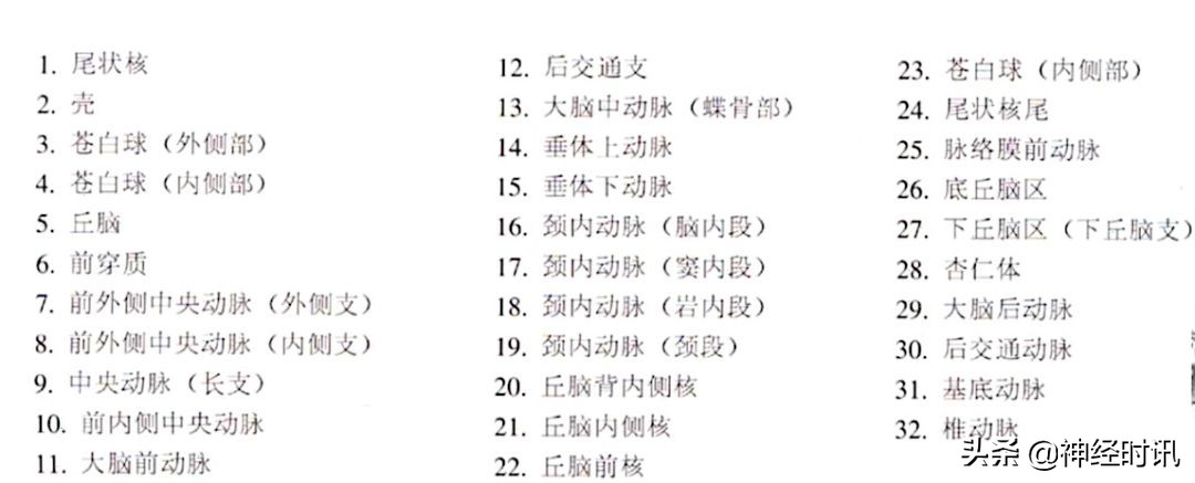 脑受撞击少量出血症状表现,脑动脉瘤出血的表现