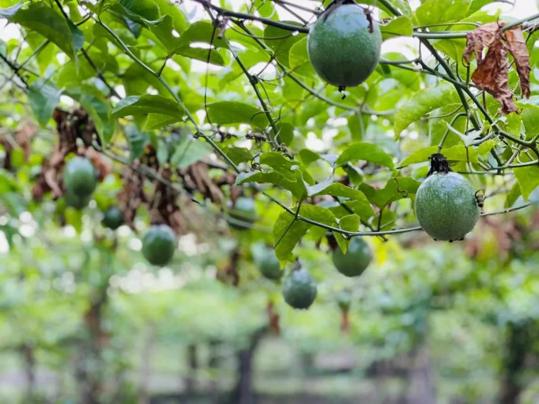 老汤创业,老汤生活记录