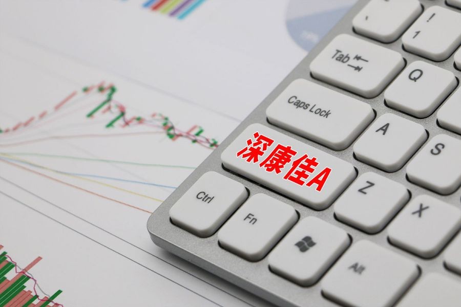 深康佳a深度分析,深康佳a未来有存储芯片发展潜力