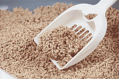 新手铲屎官该如何挑选狗粮呢,新手铲屎官如何挑选猫咪