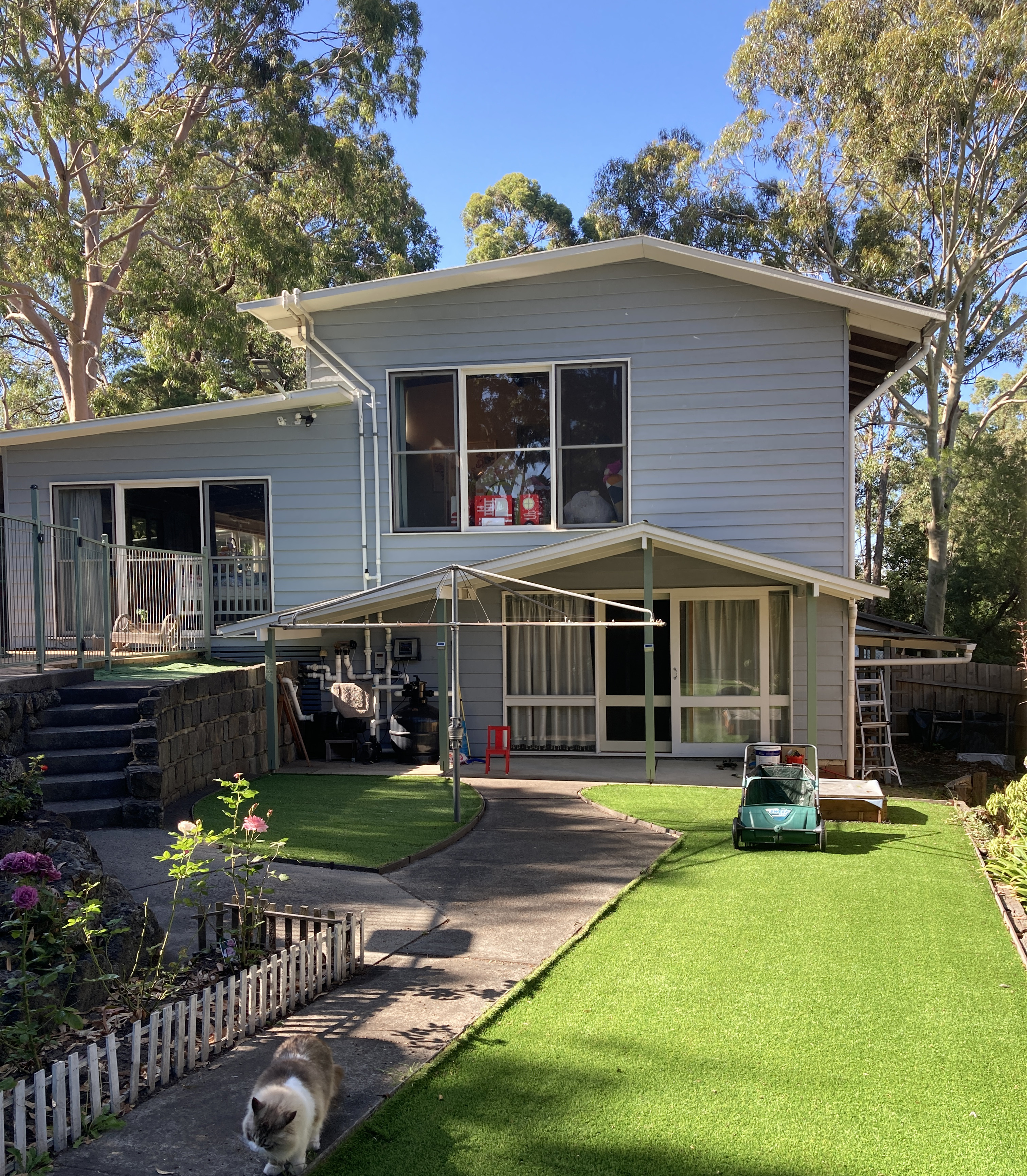 一男子发现蛇窝,挖蛇窝发现30条蛇