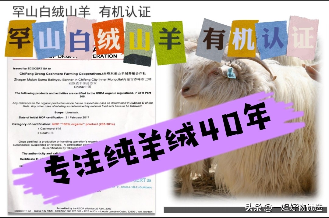 蔻驰围巾图案大全,蔻驰围巾